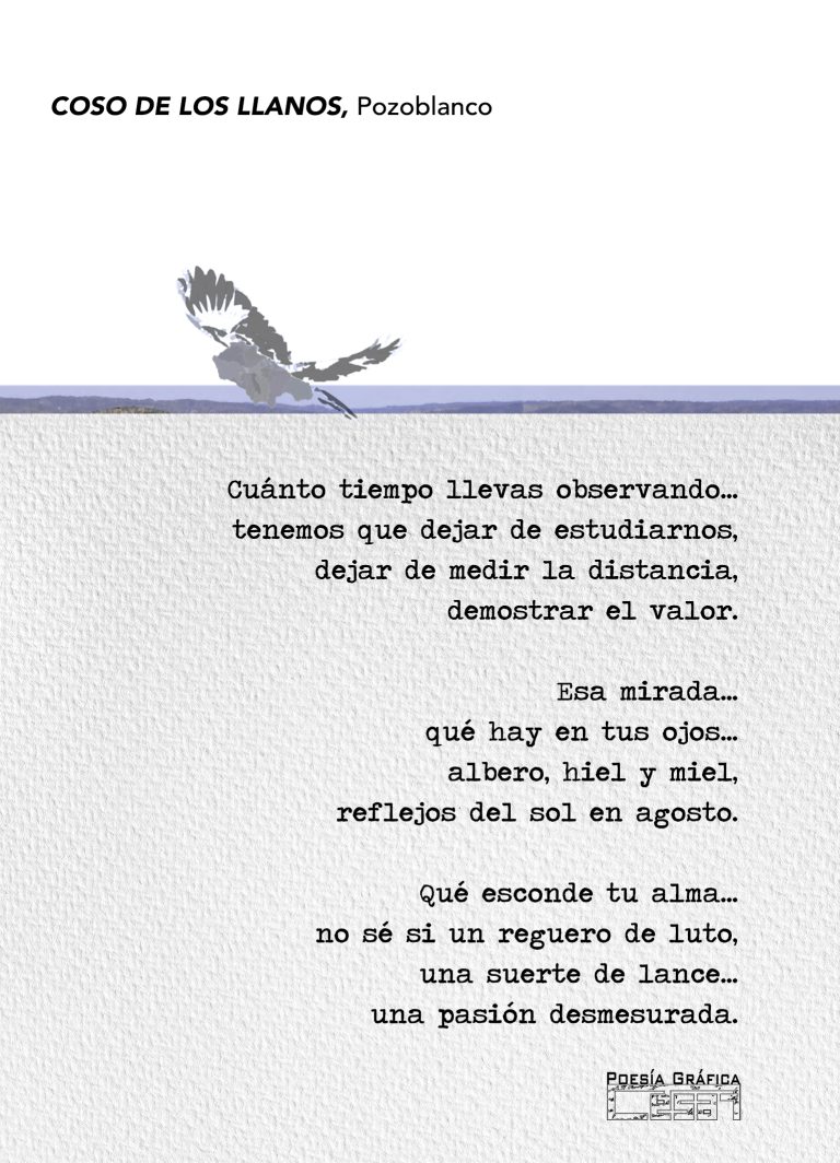 Photopoesía Audio Los Llanos