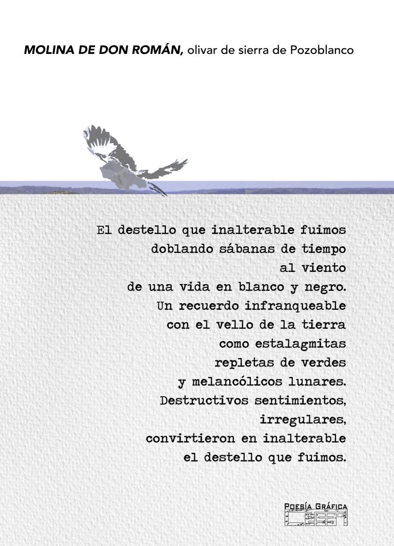 Photopoesía Audio Molina Don Román
