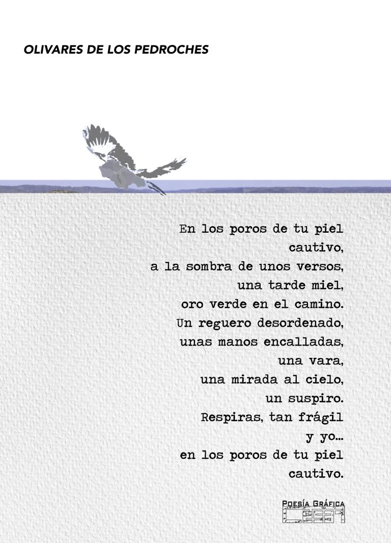 Photopoesía Audio Olivar